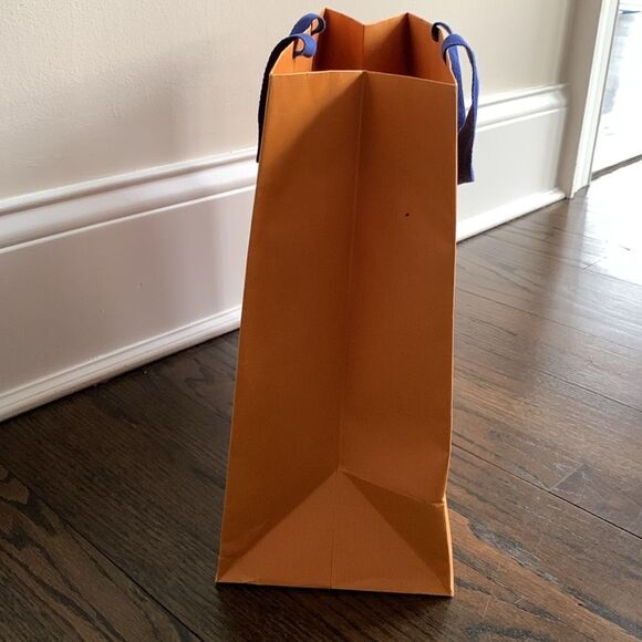 Louis Vuitton Medium 16”x13” Empty Paper Shopping Tote - Replacement Gift Bag - Picture 6 of 10